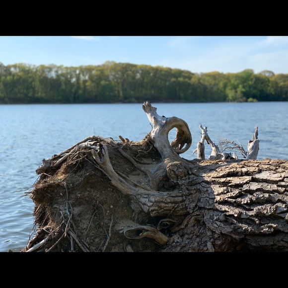 Meet your Posher, Stephen - Picture 1 of 1